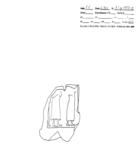 L_W23Od0109 A01q1055.4 xxxx pP si
